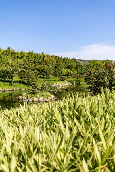 Landscape Dragon Valley Asian Garden Heart Cevennes Anduze Bamboo Grove — Stock Photo, Image