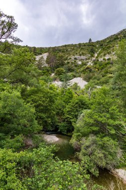 Bulutlu havada Navacelles Sirki 'nin kayalık manzarası (Occitanie, Fransa)