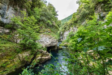 Bulutlu havada Navacelles Sirki 'nin kayalık manzarası (Occitanie, Fransa)