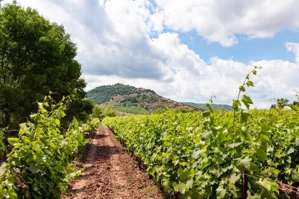 Paesaggio Rocce Rosse Del Lago Salagou Occitanie Francia — Foto Stock