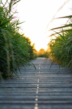 Aigues-Mortes (Occitanie, Fransa)