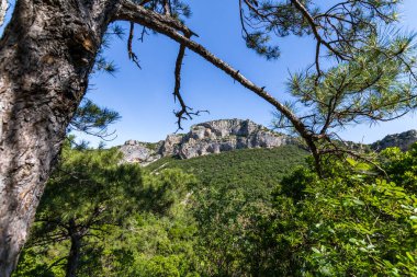 Saint-Guilhem-le-Desert (Occitanie, Fransa)