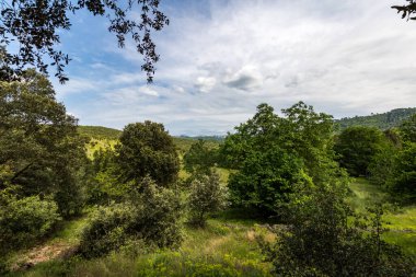 Cevennes dağları ve ormanları gözünün alabildiğince uzak (Occitanie, Fransa)