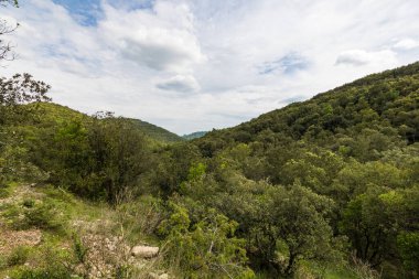 Cevennes dağları ve ormanları gözünün alabildiğince uzak (Occitanie, Fransa)