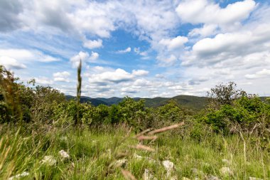 Cevennes dağları ve ormanları gözünün alabildiğince uzak (Occitanie, Fransa)