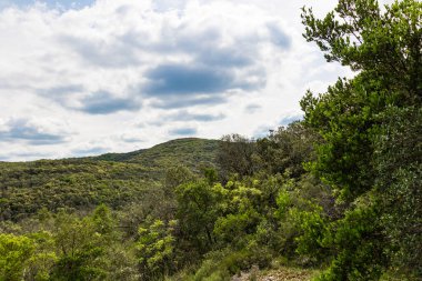 Cevennes dağları ve ormanları gözünün alabildiğince uzak (Occitanie, Fransa)