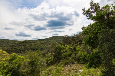 Cevennes dağları ve ormanları gözünün alabildiğince uzak (Occitanie, Fransa)