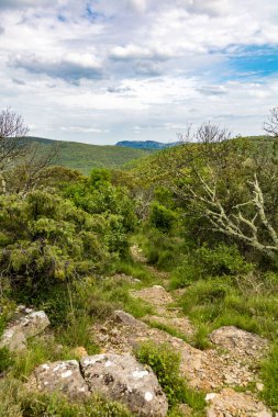 Cevennes dağları ve ormanları gözünün alabildiğince uzak (Occitanie, Fransa)