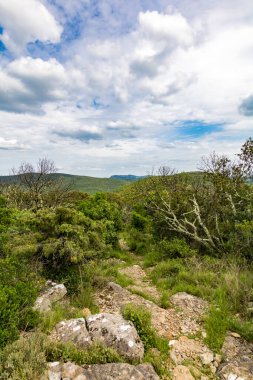 Cevennes dağları ve ormanları gözünün alabildiğince uzak (Occitanie, Fransa)