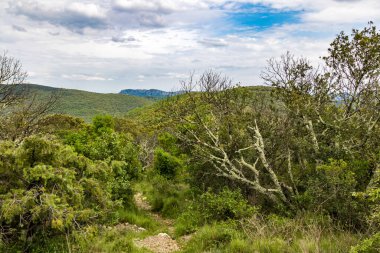 Cevennes dağları ve ormanları gözünün alabildiğince uzak (Occitanie, Fransa)