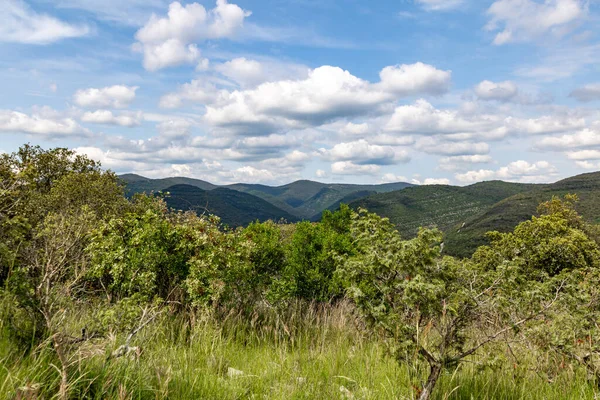 Cevennes mountains and forests as far as the eye can see (Occitanie, France)