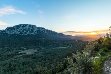 Bitkiler ve Pic Saint-Loup (Occitanie, Fransa)