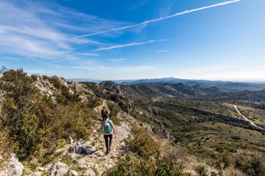 Alpilles bölgesel doğal parkındaki (Fransa) Platosu de la Caume manzarası)
