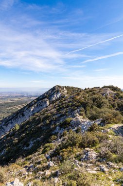 Alpilles bölgesel doğal parkındaki (Fransa) Platosu de la Caume manzarası)