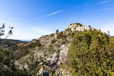 Alpilles bölgesel doğal parkındaki (Fransa) Platosu de la Caume manzarası)