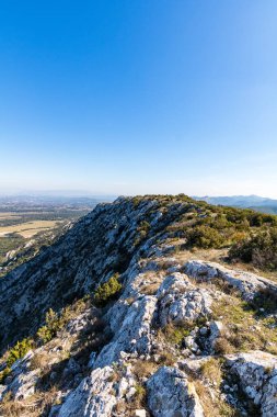 Alpilles bölgesel doğal parkındaki (Fransa) Platosu de la Caume manzarası)