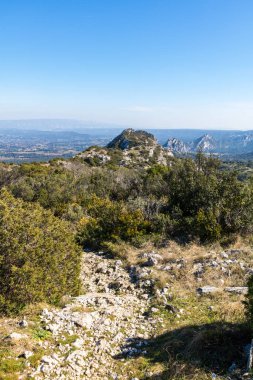 Alpilles bölgesel doğal parkındaki (Fransa) Platosu de la Caume manzarası)