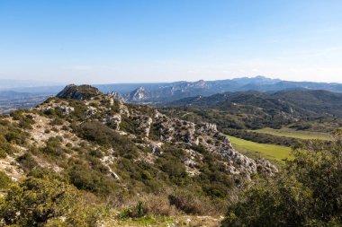 Alpilles bölgesel doğal parkındaki (Fransa) Platosu de la Caume manzarası)