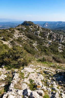 Alpilles bölgesel doğal parkındaki (Fransa) Platosu de la Caume manzarası)