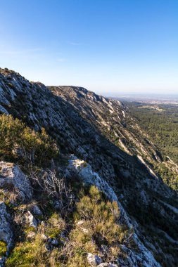 Alpilles bölgesel doğal parkındaki (Fransa) Platosu de la Caume manzarası)