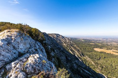 Alpilles bölgesel doğal parkındaki (Fransa) Platosu de la Caume manzarası)