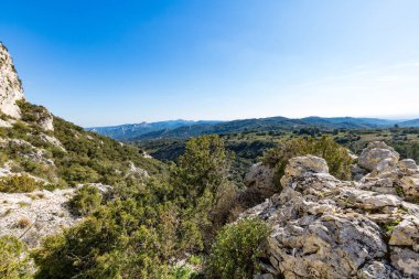 Alpilles bölgesel doğal parkındaki (Fransa) Platosu de la Caume manzarası)