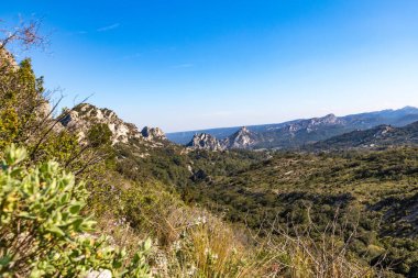 Alpilles bölgesel doğal parkındaki (Fransa) Platosu de la Caume manzarası)