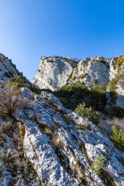 Alpilles bölgesel doğal parkındaki (Fransa) Platosu de la Caume manzarası)