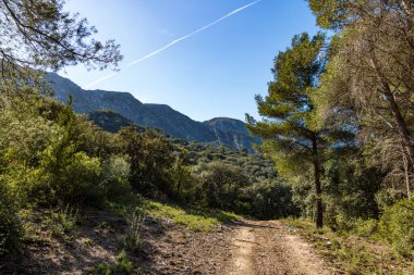 Alpilles bölgesel doğal parkındaki (Fransa) Platosu de la Caume manzarası)