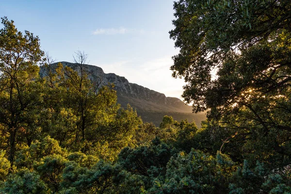 Luz Barbear Pôr Sol Sobre Vegetação Pic Saint Loup Occitanie — Fotografia de Stock