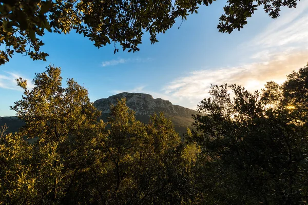 Luz Barbear Pôr Sol Sobre Vegetação Pic Saint Loup Occitanie — Fotografia de Stock