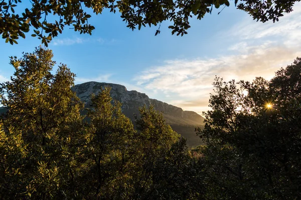 Luz Barbear Pôr Sol Sobre Vegetação Pic Saint Loup Occitanie — Fotografia de Stock