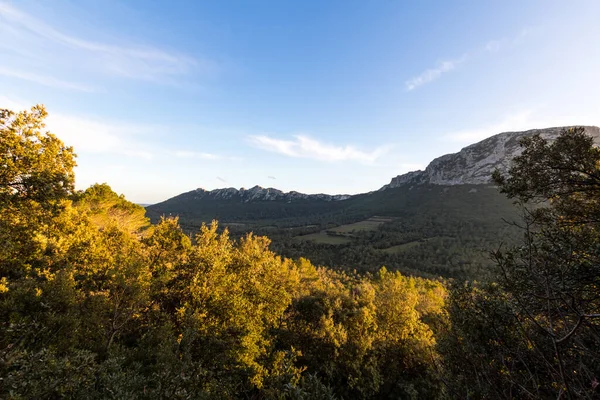 Razing Light Sunset Vegetation Pic Saint Loup Occitanie Francja — Zdjęcie stockowe