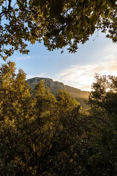 Sonnenuntergang Über Der Vegetation Und Dem Pic Saint Loup Okzitanien — Stockfoto