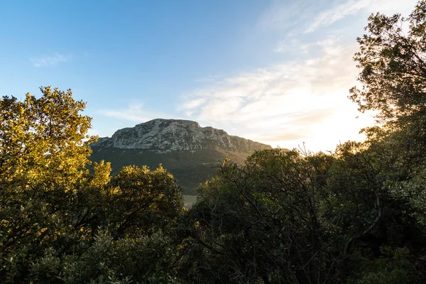 Luz Barbear Pôr Sol Sobre Vegetação Pic Saint Loup Occitanie — Fotografia de Stock