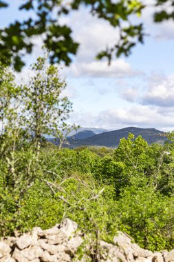 Sauve 'deki Mer des Rochers' in Cevennes dağlarının eteklerindeki görüntüsü (Occitanie, Fransa)