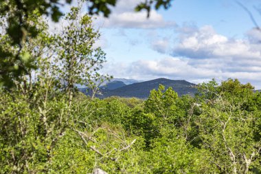 Sauve 'deki Mer des Rochers' in Cevennes dağlarının eteklerindeki görüntüsü (Occitanie, Fransa)