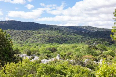 Sauve 'deki Mer des Rochers' in Cevennes dağlarının eteklerindeki görüntüsü (Occitanie, Fransa)