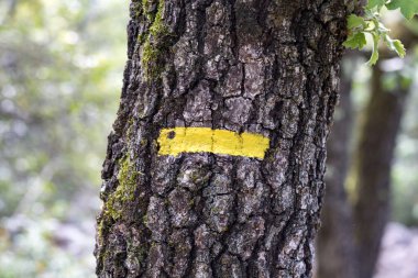 Halkla İlişkiler yürüyüş yolunu gösteren sarı işaretler (Fransa)