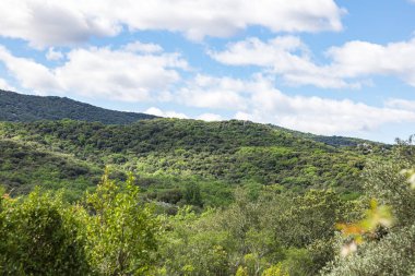 Sauve 'deki Mer des Rochers' in Cevennes dağlarının eteklerindeki görüntüsü (Occitanie, Fransa)
