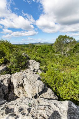 Sauve 'deki Mer des Rochers' in Cevennes dağlarının eteklerindeki görüntüsü (Occitanie, Fransa)