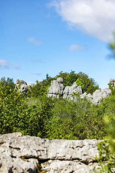 Sauve 'deki Mer des Rochers' in Cevennes dağlarının eteklerindeki görüntüsü (Occitanie, Fransa)