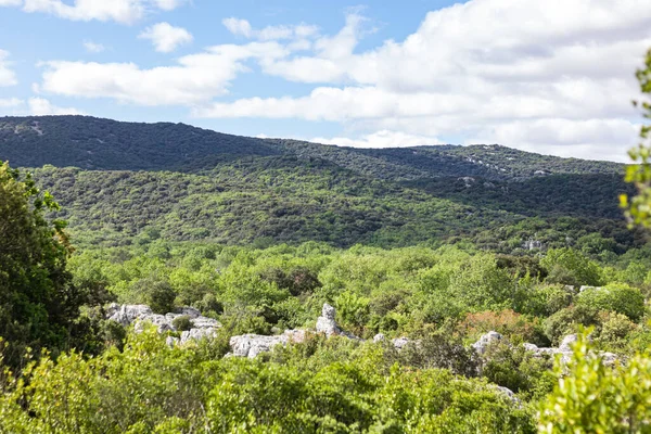 Sauve 'deki Mer des Rochers' in Cevennes dağlarının eteklerindeki görüntüsü (Occitanie, Fransa)