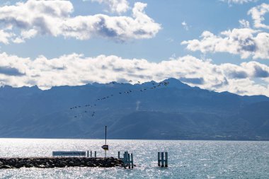 Lozan yakınlarında, Cenevre Gölü üzerinde alçak irtifada kuşlar.)