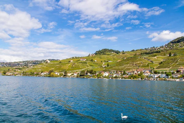 Vista Región Lavaux Desde Barco Lago Ginebra Vaud Suiza — Foto de Stock