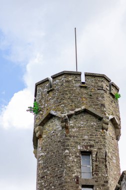 Mont de Cerisy-Belle-Etoile şatosu çiçek açan rhododendronlarla (Normandiya)