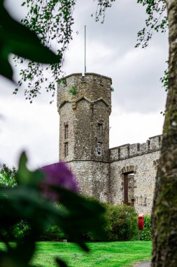 Mont de Cerisy-Belle-Etoile şatosu çiçek açan rhododendronlarla (Normandiya)