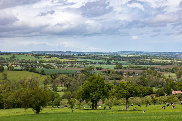 Paysage Bocage Normand Cerisy Belle Etoile Orne Normandie — Photo