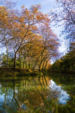 Gardouch 'daki Canal du Midi sonbahar renklerinde ağaçlarla kaplıydı.