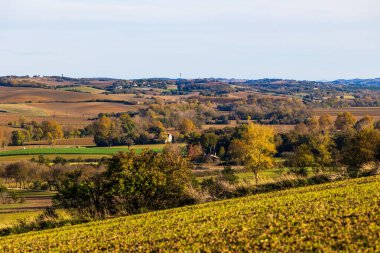 Sonbaharda Gardouch, Lauragais 'de yeni sürülmüş tarlalar, çitler ve ormanlarla kaplı yuvarlanan tepeler.
